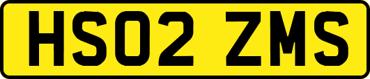 HS02ZMS
