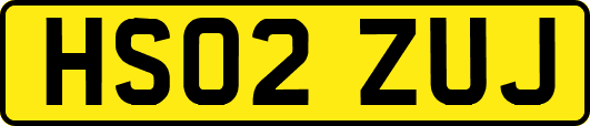 HS02ZUJ