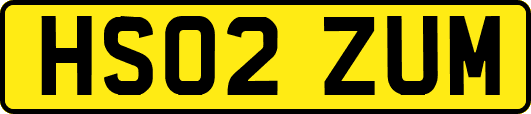 HS02ZUM