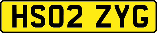 HS02ZYG