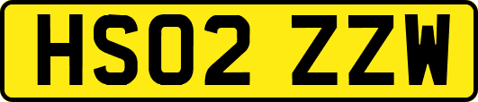 HS02ZZW