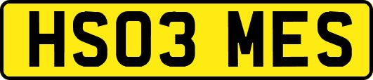 HS03MES