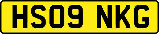 HS09NKG