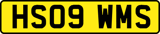 HS09WMS