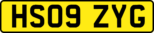 HS09ZYG