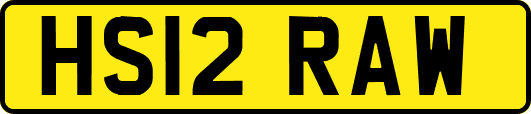HS12RAW