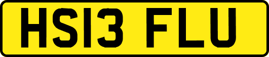 HS13FLU
