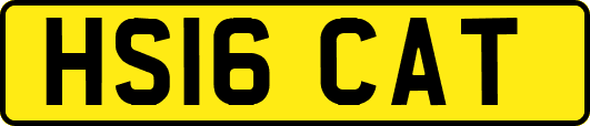 HS16CAT