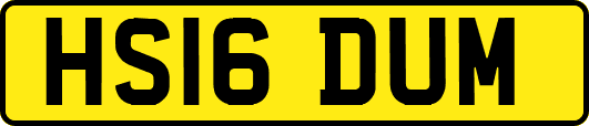 HS16DUM