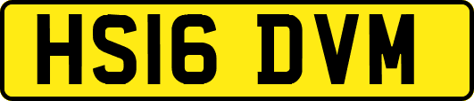 HS16DVM