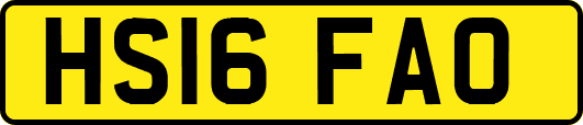 HS16FAO