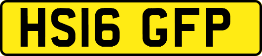 HS16GFP
