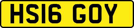 HS16GOY
