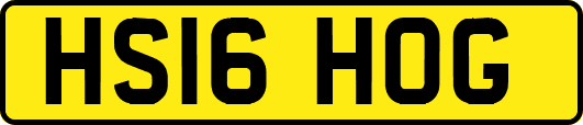 HS16HOG