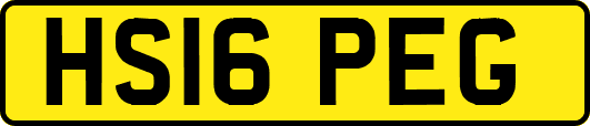 HS16PEG