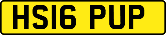HS16PUP
