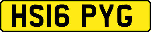 HS16PYG