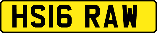 HS16RAW