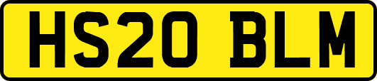 HS20BLM