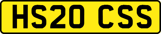 HS20CSS