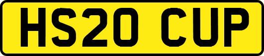 HS20CUP