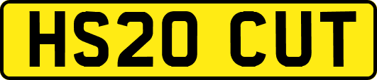 HS20CUT
