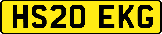 HS20EKG
