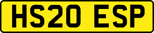 HS20ESP