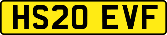 HS20EVF