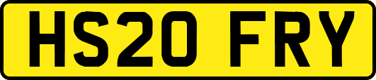 HS20FRY