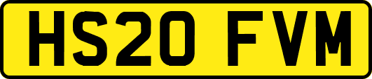 HS20FVM