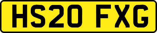 HS20FXG