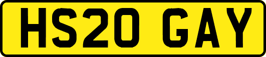 HS20GAY