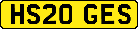 HS20GES