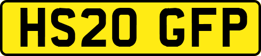 HS20GFP