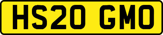 HS20GMO