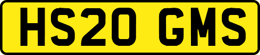 HS20GMS