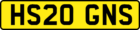 HS20GNS