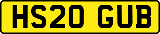 HS20GUB