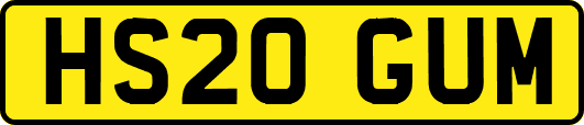 HS20GUM