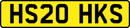 HS20HKS