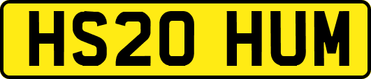 HS20HUM