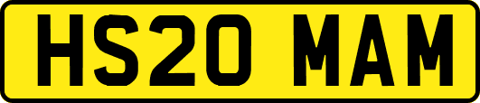 HS20MAM