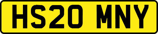 HS20MNY