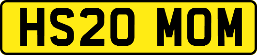 HS20MOM