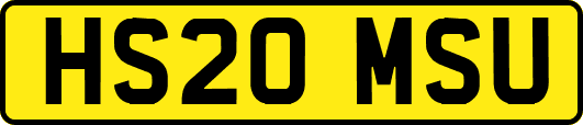 HS20MSU