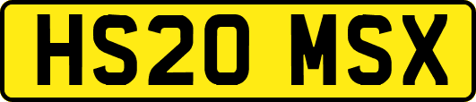 HS20MSX