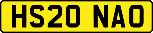 HS20NAO