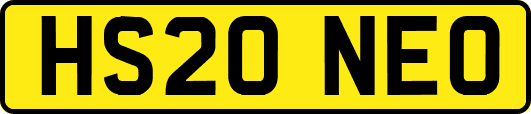 HS20NEO