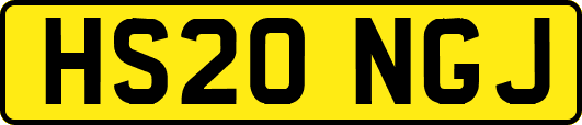 HS20NGJ